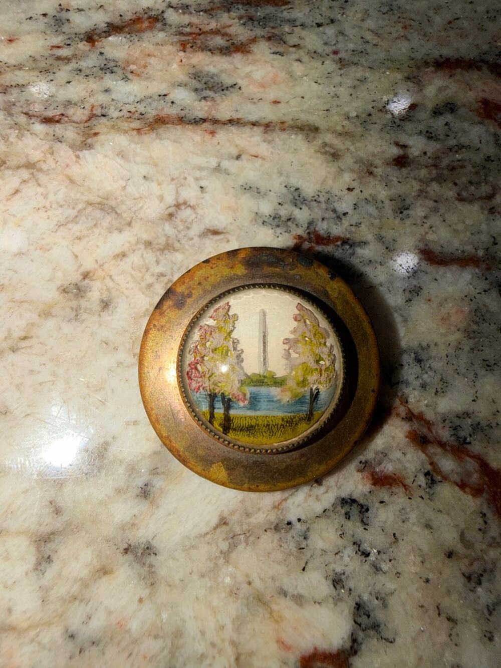 Vintage Washington D.C. Cherry Blossom Brooch